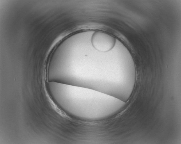 X0000082181130200701191046