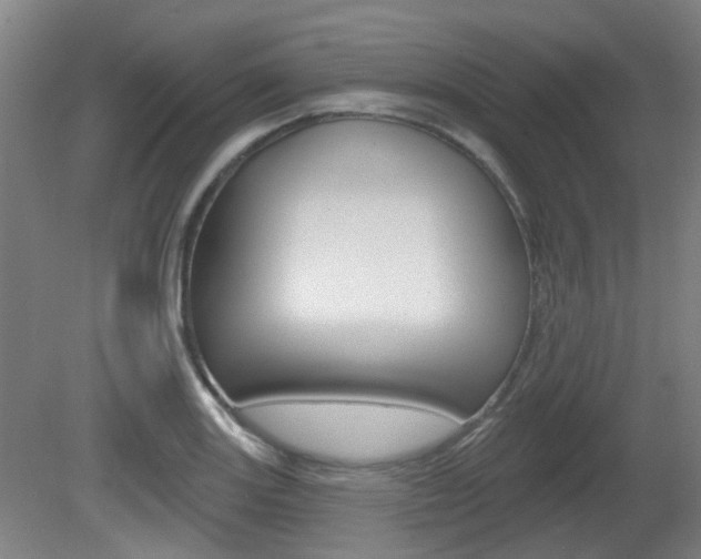 X0000082181131200701191046
