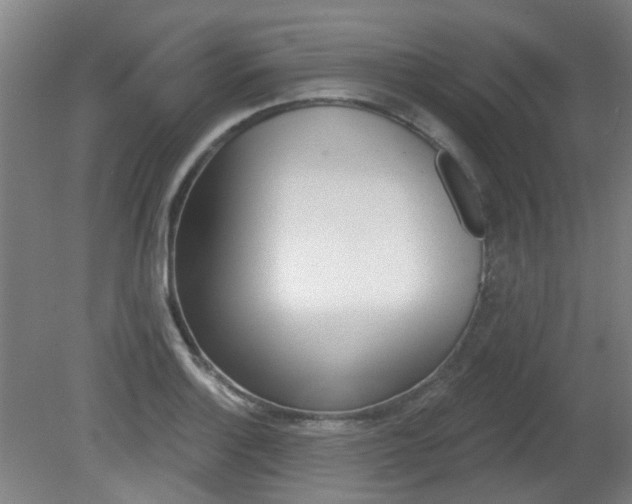 X0000082181132200701191046