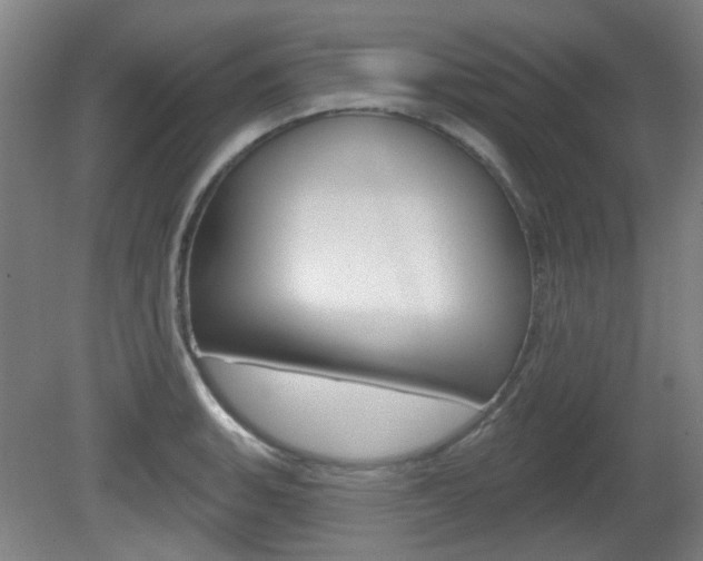 X0000082181135200701191046