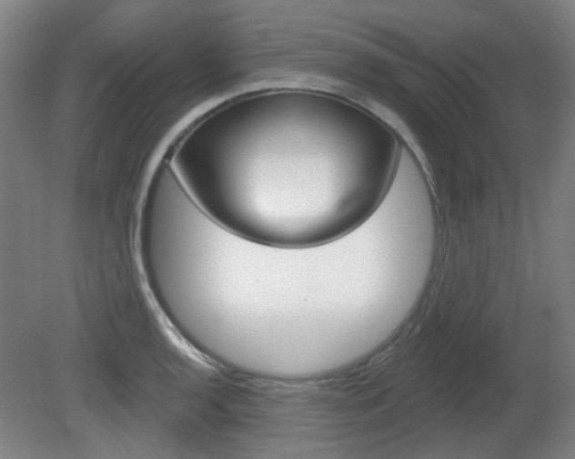 X0000082181136200701191046