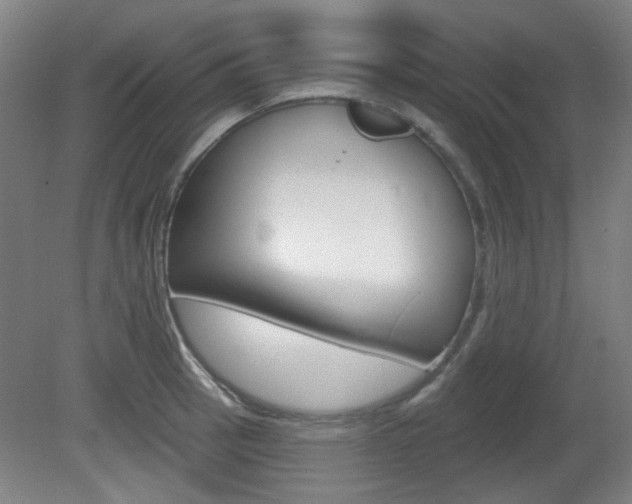 X0000082181137200701191046