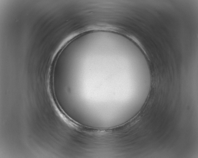 X0000082181139200701191046