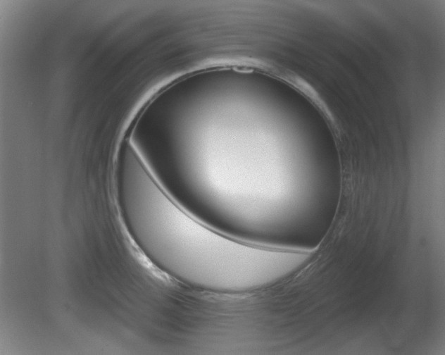 X0000082181140200701191046