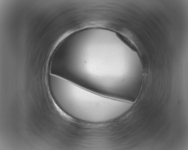 X0000082181143200701191046