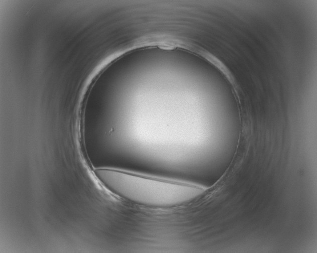 X0000082181144200701191046