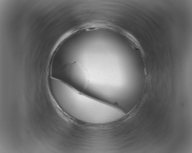 X0000082181146200701191046