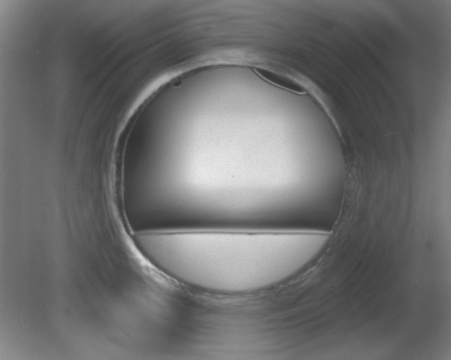 X0000082181147200701191046