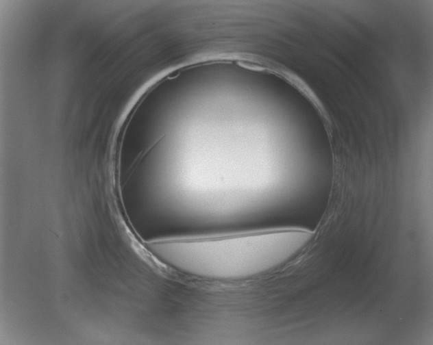 X0000082181148200701191046