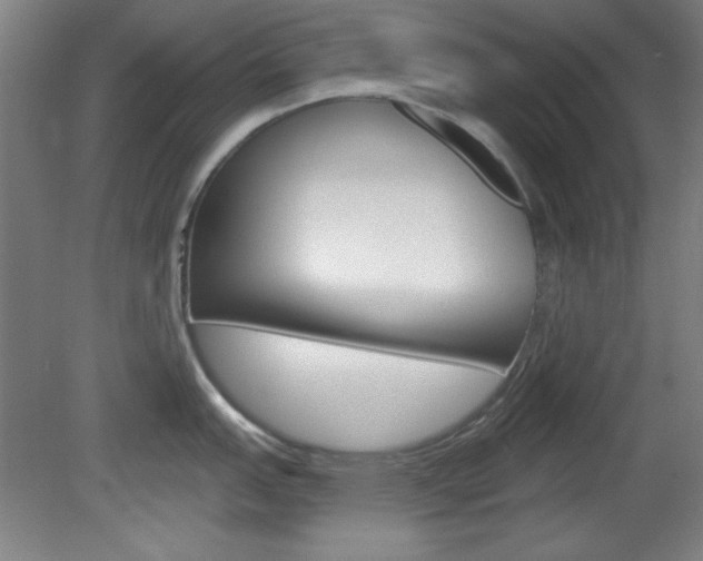 X0000082181151200701191046