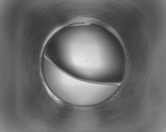 X0000082181152200701191046