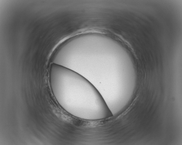 X0000082181166200701191045