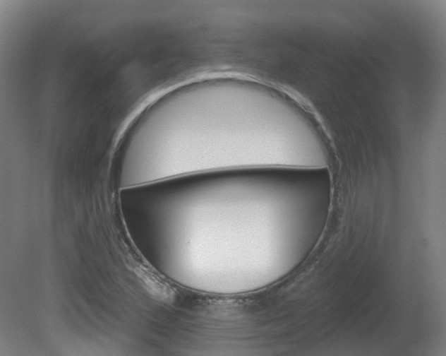X0000082181167200701191045