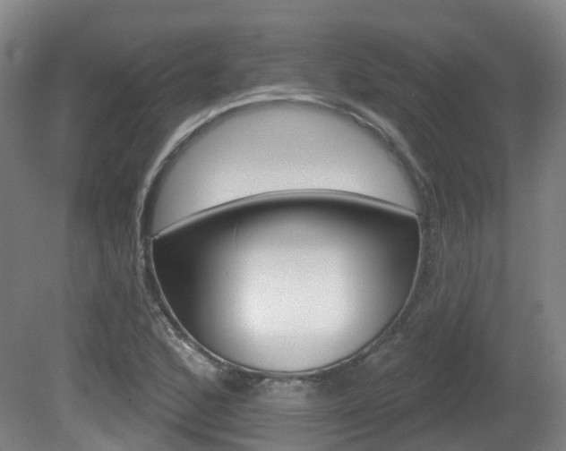 X0000082181168200701191045