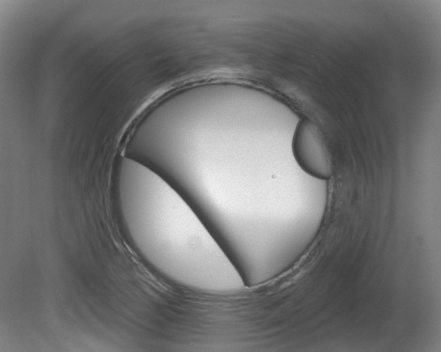 X0000082181170200701191045