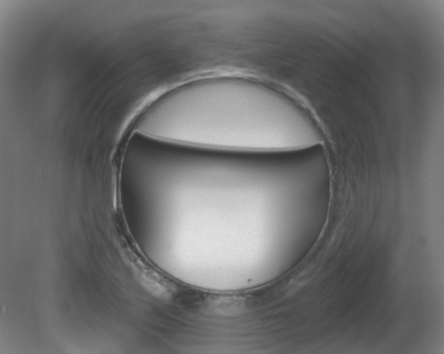 X0000082181171200701191045