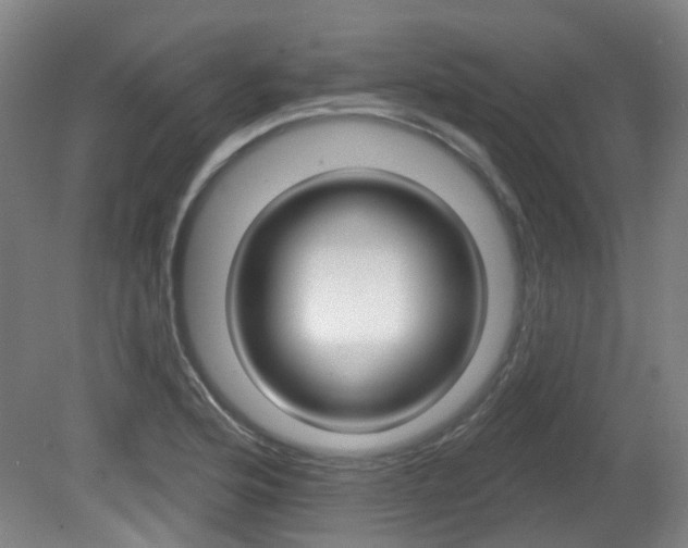 X0000082181176200701191045