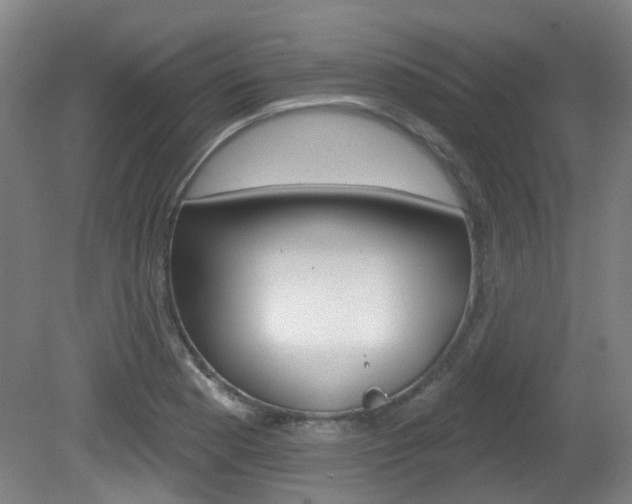 X0000082181177200701191045
