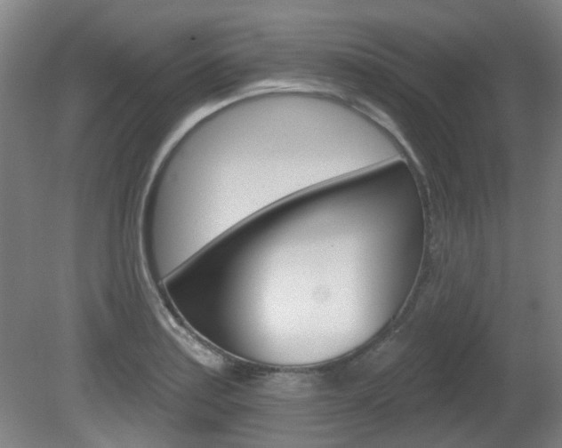 X0000082181179200701191045