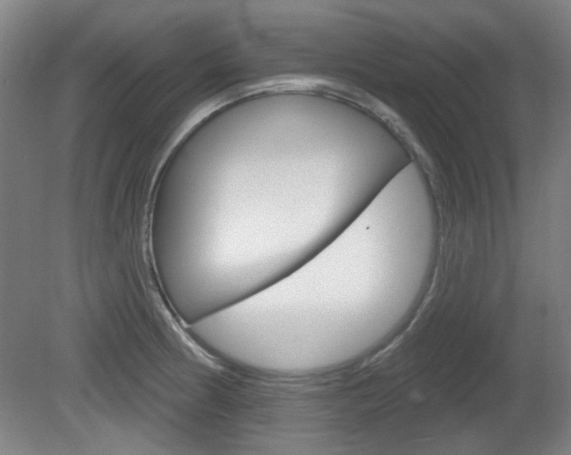 X0000082181186200701191045