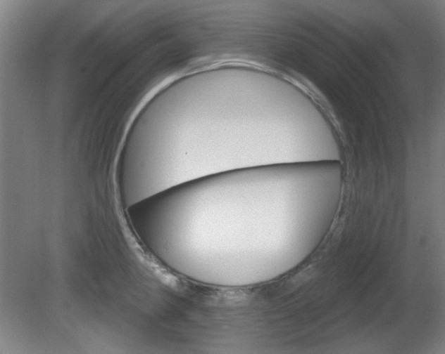 X0000082181190200701191044
