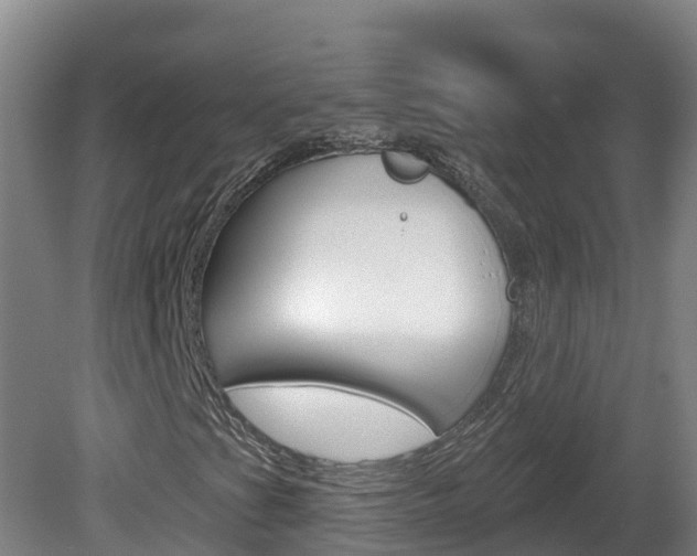 X0000082181201200701191043