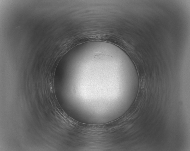 X0000082181202200701191043