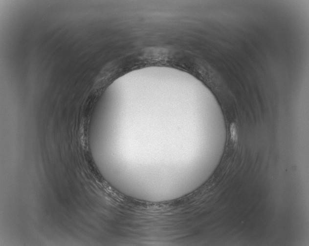 X0000082181203200701191044