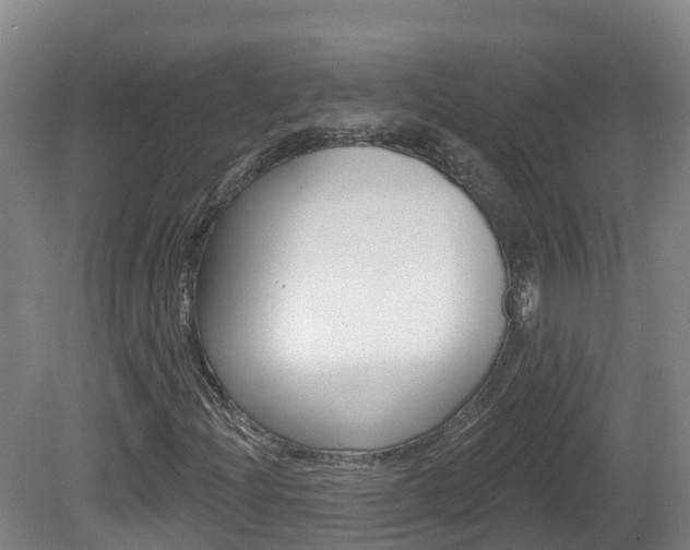 X0000082181204200701191044