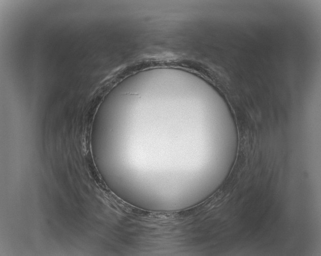 X0000082181205200701191044