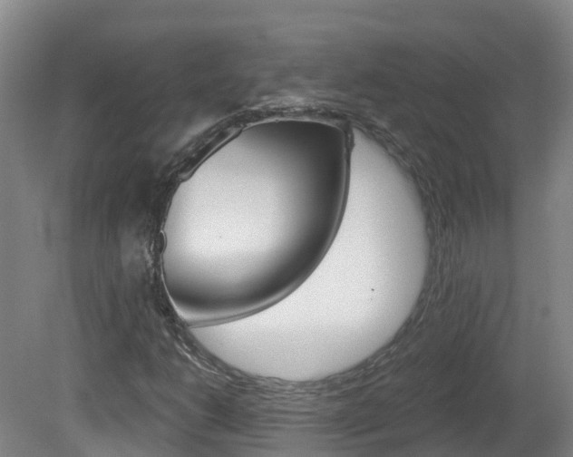 X0000082181206200701191044