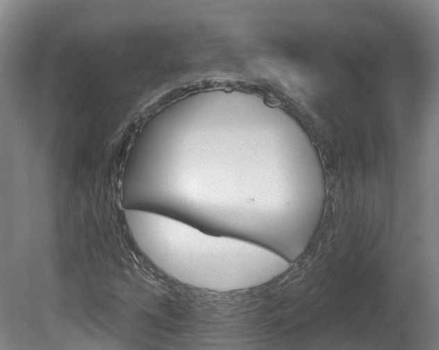 X0000082181207200701191044