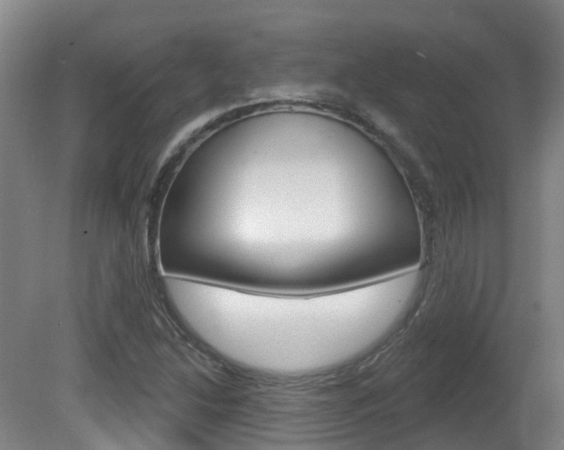 X0000082181214200701191044