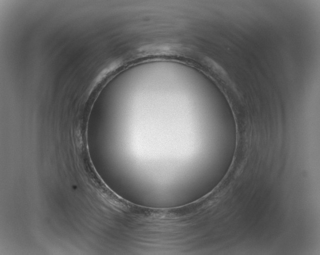 X0000082181218200701191044