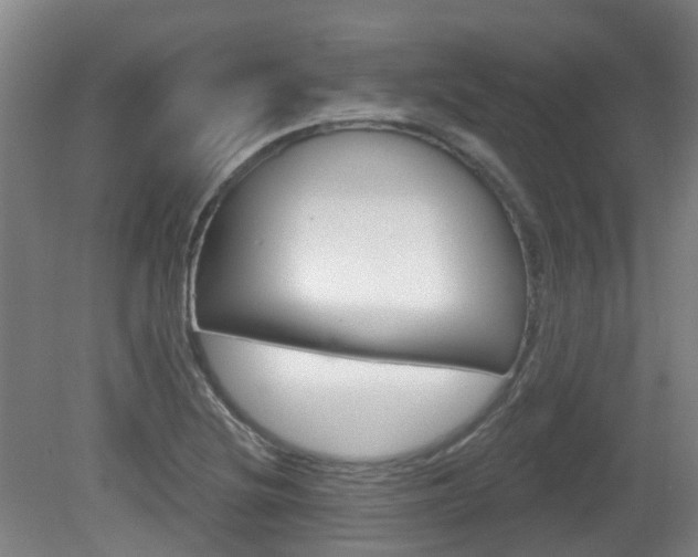 X0000082181220200701191044