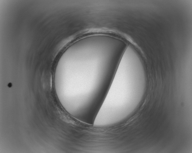 X0000082181221200701191044