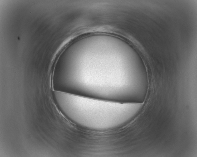 X0000082181224200701191044