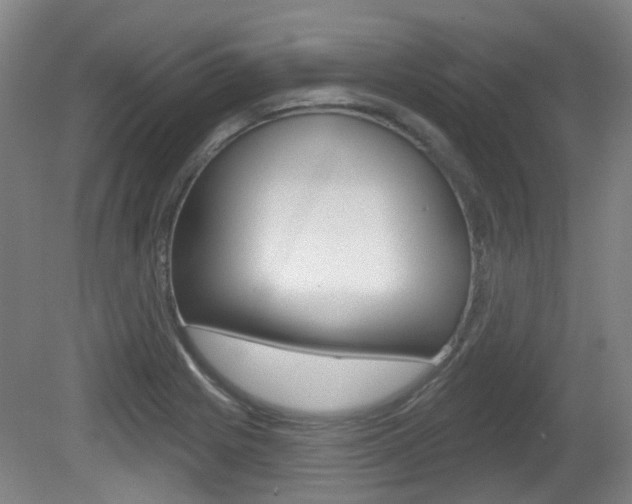 X0000082181225200701191044