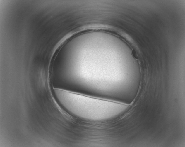 X0000082181229200701191044
