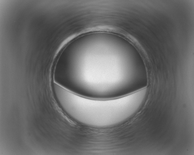X0000082181230200701191044