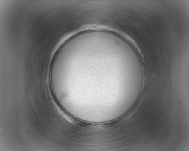 X0000082181231200701191044