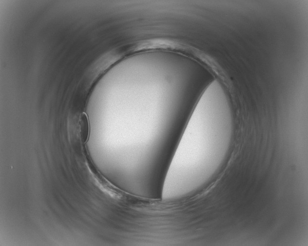 X0000082181233200701191044