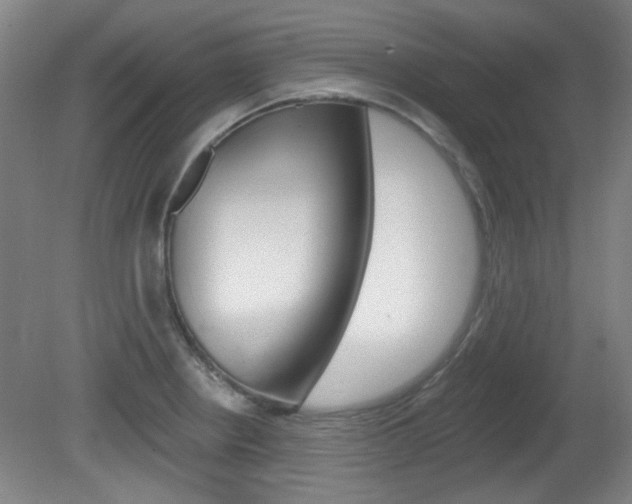 X0000082181234200701191044