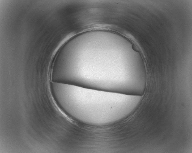 X0000082181235200701191044