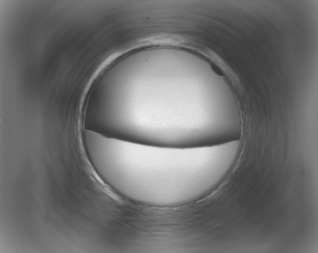 X0000082181240200701191044