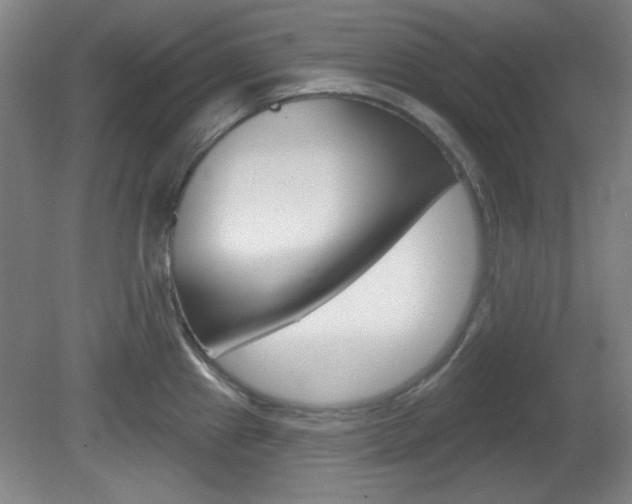 X0000082181241200701191044