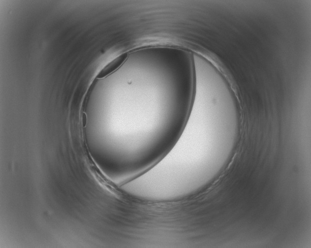 X0000082181242200701191044