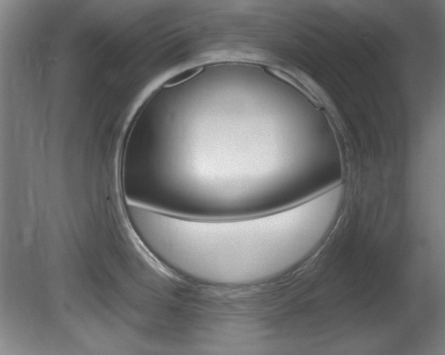 X0000082181246200701191044