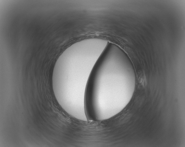 X0000082181252200701191043