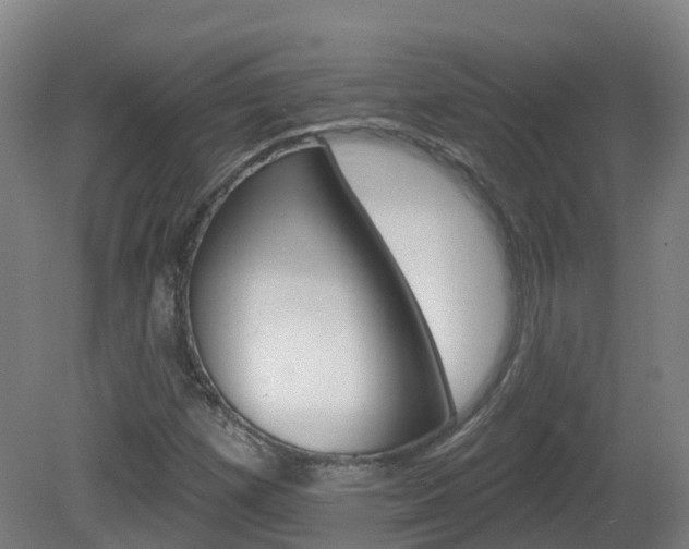 X0000082181257200701191043